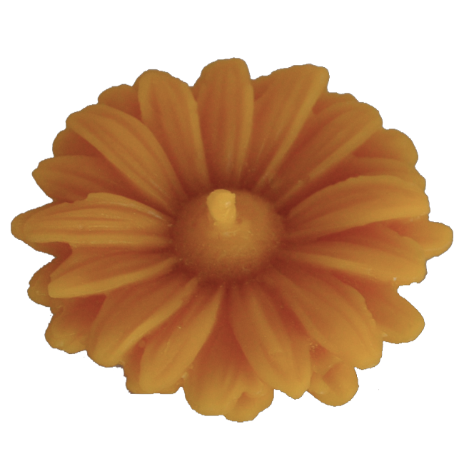 Květina 2